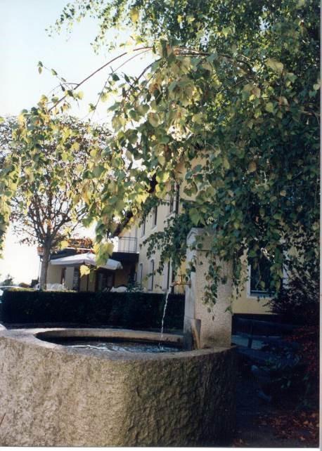 Gasthof Pension Kirschner Lappersdorf  Екстериор снимка